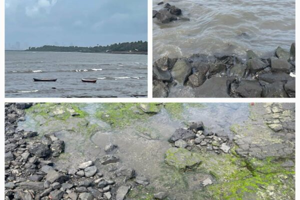 No damage due to oil spill near Uran