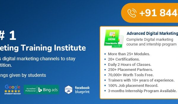 Unleash Your Digital Marketing Potential with DigiVend Training Institute