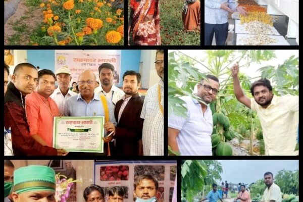 Ravi Kumar Nishad of Bhuli made a record by making Dhanbad famous in the field of organic farming.