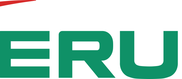Terumo India introduces Insulin Syringe for patients requiring daily insulin injections to manage Diabetes