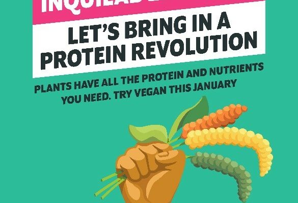 Veganuary 2024 campaign – driving global change with a plant-based challenge