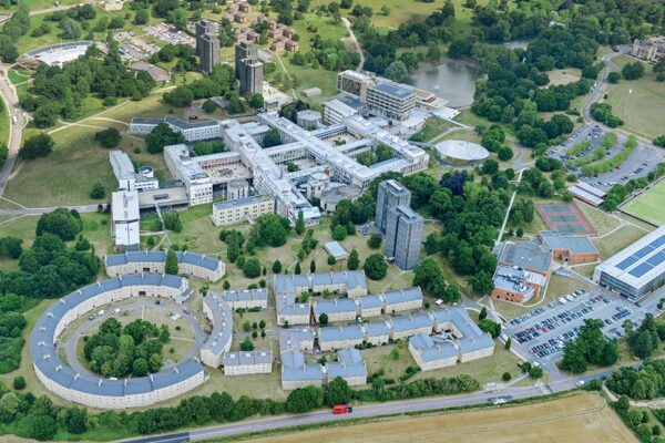 University of Essex hosts first-ever Graduation Day ceremony in India