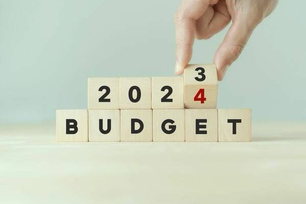 Corporates and Startups Navigate Optimism and Caution in Response to Budget Announcements