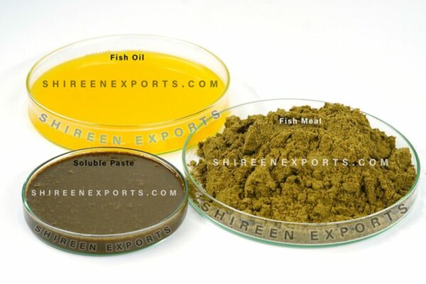 Discover the Unmatched Quality for Premium Fish Meal Manufacturer , Fish oil and Fish Soluble Paste – Setting Global Standards from India