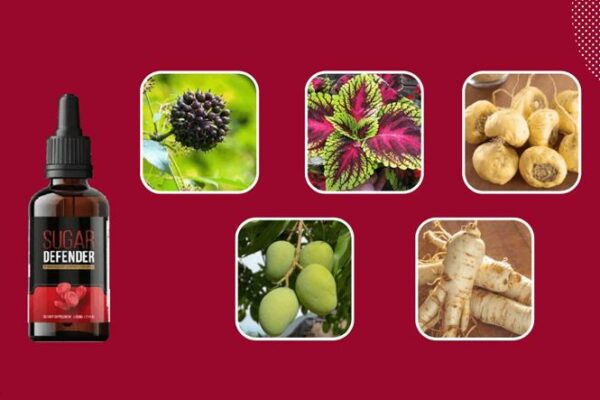 Sugar Defender Reviews: A Natural Solution for Blood Sugar Support in 2024