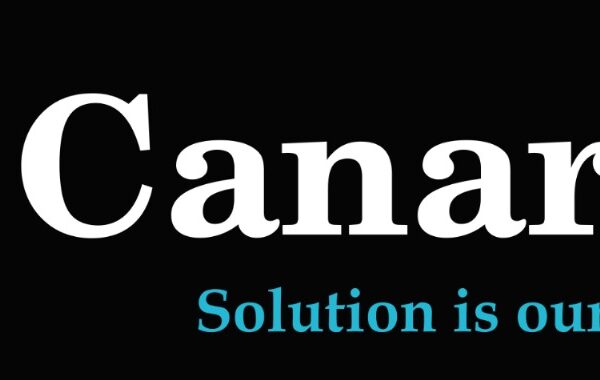 Canarys Propels Growth Strategy with Acquisition Proposal Expanding Footprint in North American Market