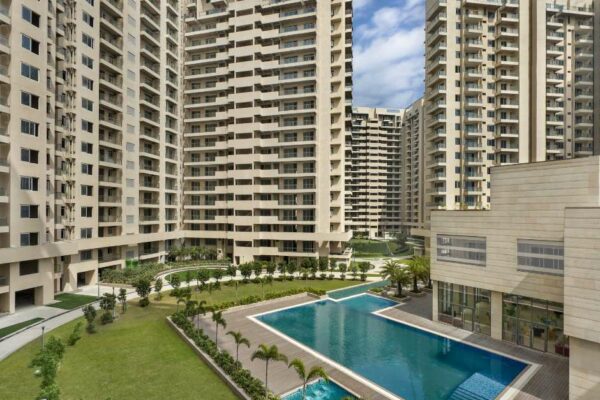 Innovations and Leadership: Exploring the Role of Ambience Group Owner