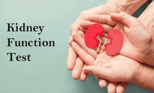 How to Know if Your Kidneys are Functioning Well?
