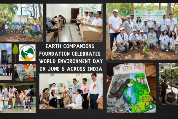 Earth Companions Foundation Celebrates World Environment Day with Tree Plantation Drives in Mumbai, Delhi, Rampur and Rural UP