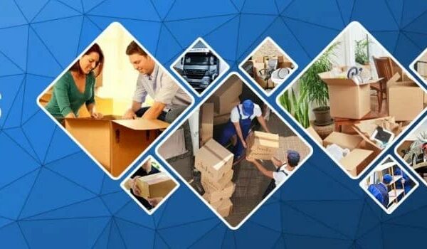 Allianz Packers and Movers: Expanding Services to Tier 2 & Tier 3 Cities