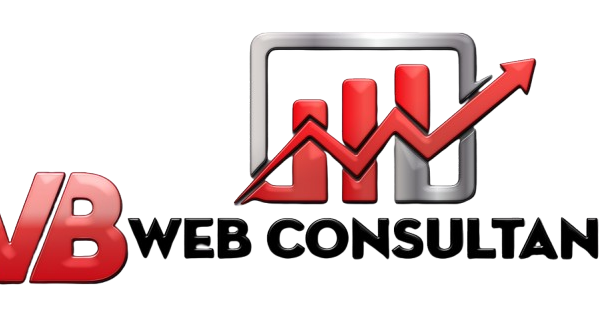 Experienced VB Web Consultant, Vinaykumar Raval, Helps Businesses Thrive Online