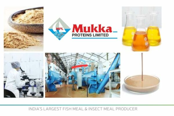 Mukka Proteins Limited Announces ₹98 Crore Preferential Issue for Acquisition and Expansion