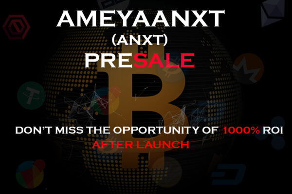Unlocking Financial Potential with Ameyaa NXT LLC