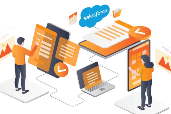 The Key Steps to Achieving Proficiency in Salesforce Application Testing