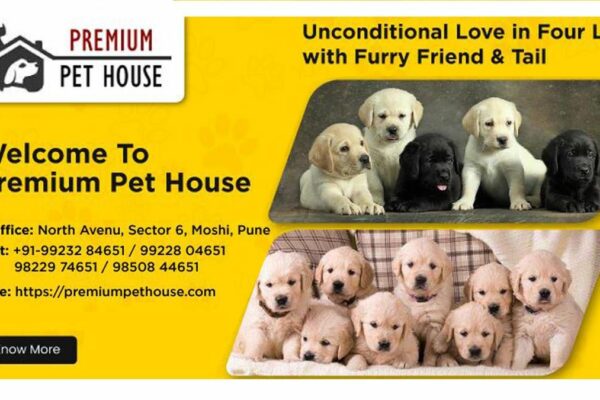 Popular Dog Breeders Premium Pet House And BestForPets Part Ways