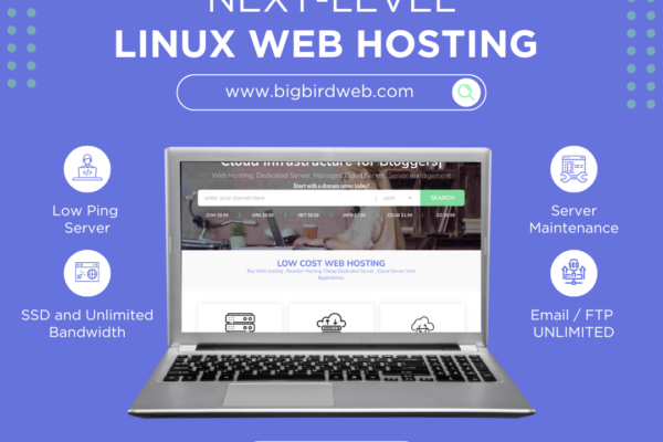 Bigbirdweb: Celebrating Over a Decade of Global Excellence in Managed Web Hosting