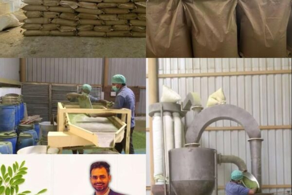 The Growing Demand for Moringa Products: Leading Moringa Exporters in India