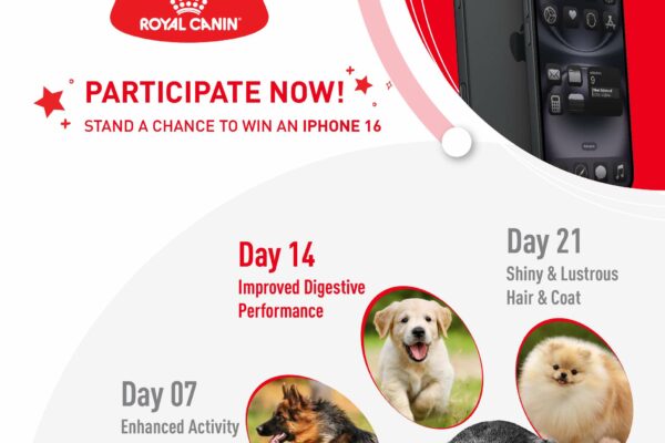 Diana Penty teams up with Royal Canin for #TheBetterBowlChallenge