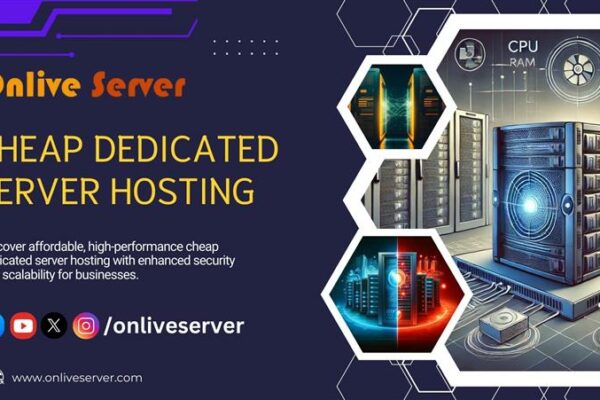 Cheap Dedicated Server Hosting with Fast SSD Storage and 1Gbps Network Speed