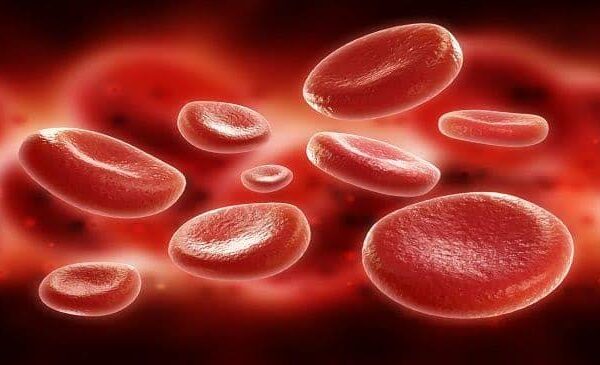 How to Increase Platelet Count?