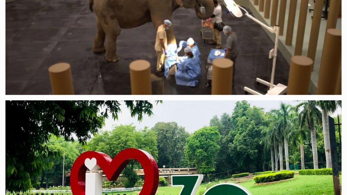 A New Chapter in Animal Conservation: Vantara Champions a People-Centric, Compassion-Driven Partnership with the Delhi Zoo