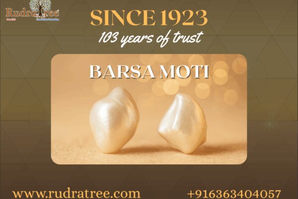 Introducing Basra Moti: Nature’s Purest Gem Now Available at RudraTree