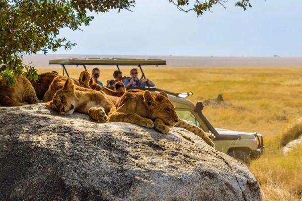 Explore Wild Africa in Luxury with Joy N Crew’s Kenya Tour