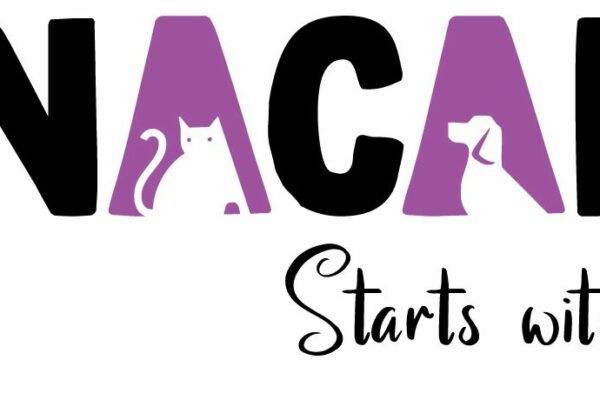 Mumbai’s Strays Get a New Home and Care with ANACARE