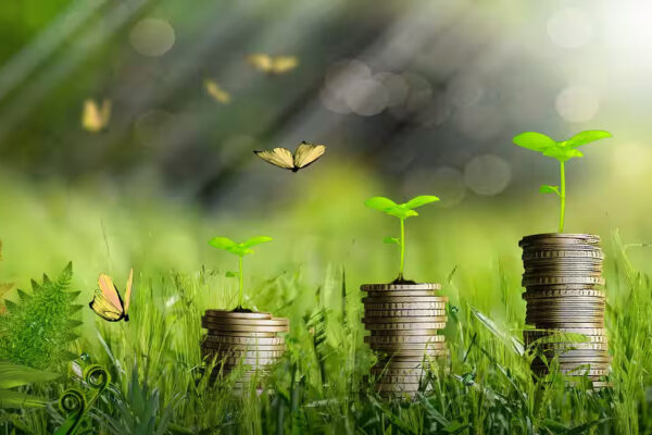 How to Align Your SIPs with Salary Hikes and Life Goals