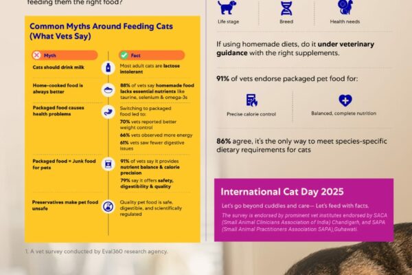 New Data Debunks Cat Food Myths with Veterinary Support on International Cat Day