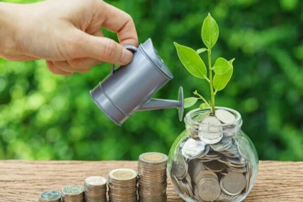 Savings Plan vs Term Insurance: What Budget 2025 Means for Your Financial Strategy