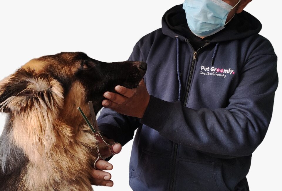 Skip the Trip: Pet Groomly Brings Full Pet Wellness Services to You, Nationwide