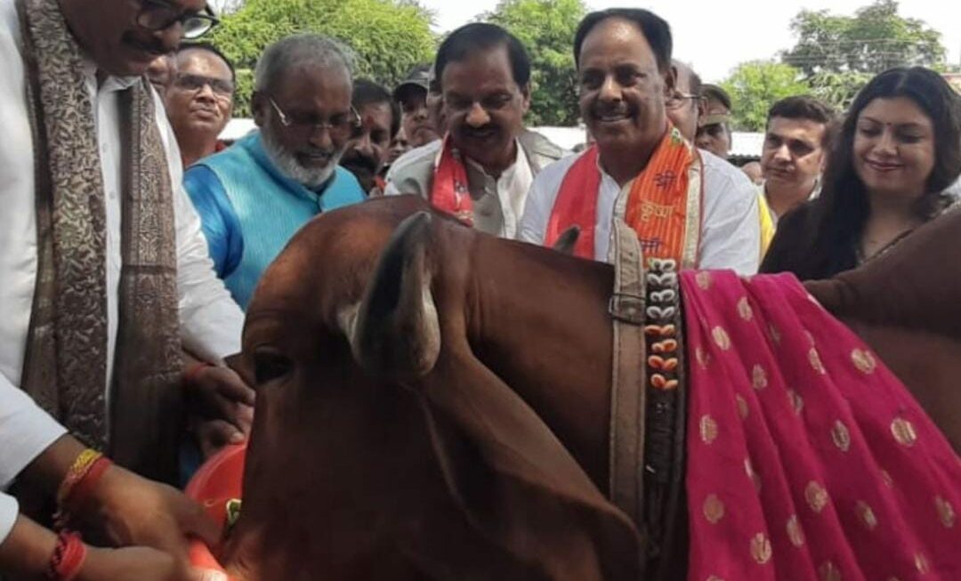 UP Deputy CM Brajesh Pathak Inspects Noida Sector-14 Cow Shelter