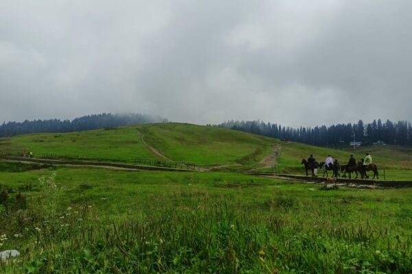 Kashmir Tour Mart: Pioneering Travel Experiences from Srinagar Since 2006