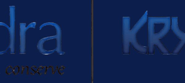 KRYKARD Unveils New Static Voltage Regulator at IMEX 2025 Announces Technical Seminar on Smart Power Solutions