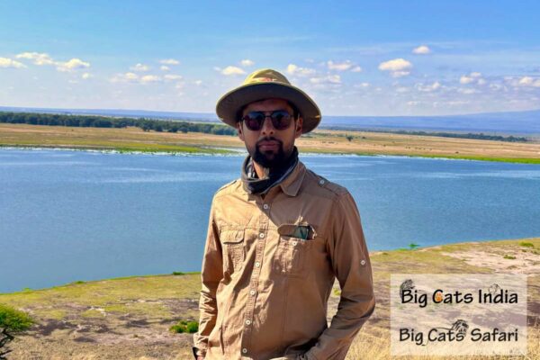 From Himalayas to Savannah: My Journey Across the World’s Big Cat Kingdoms