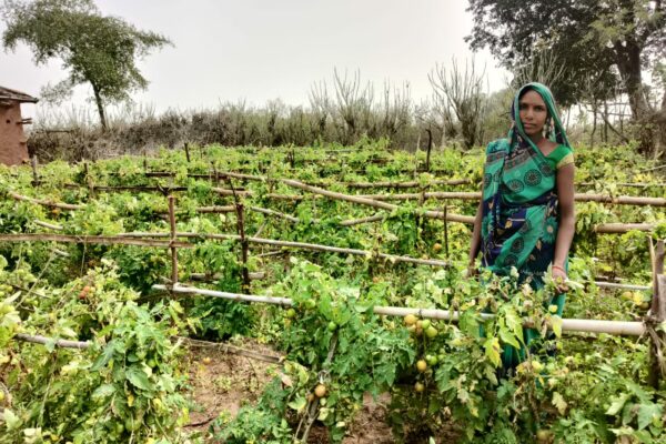 India Needs to Rebuild Rural Systems for Long-Term Food Security: Action for Social Advancement (ASA)